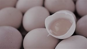 What Does A Gas Leak Smell Like (Symptoms & What To Do)