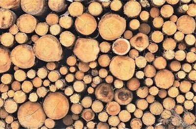 How Can You Tell If Firewood is Too Wet