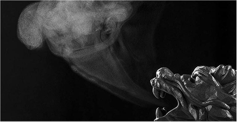 best wood stove steamer