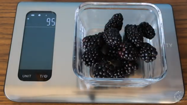 etekcity kitchen scale instructions