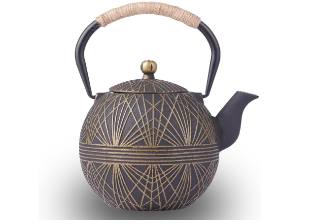 Enameled Cast Iron Teapot