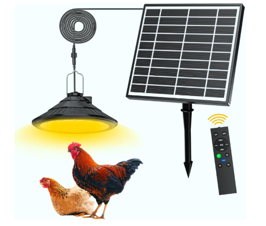 Solar Chicken Coop Light with Timer