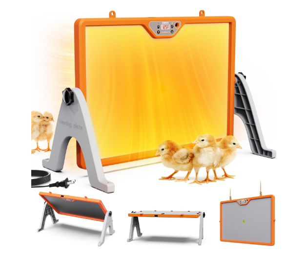 Chick Brooder Heating Plate with Digital Thermostat